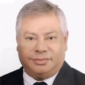 Tarek El Ashram, Speaker at Physics Congress